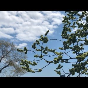 Meet your Posher, Az